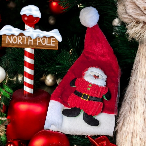 Christmas Dog Gift Box with Santa Hat for Hooman, New - Picture 4 of 10